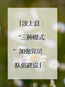 汶上县：“三种模式”加强党员队伍建设