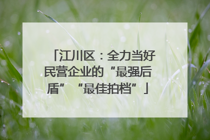 江川区：全力当好民营企业的“最强后盾”“最佳拍档”