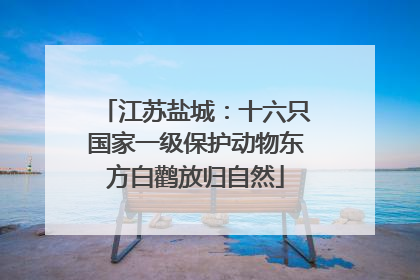 江苏盐城：十六只国家一级保护动物东方白鹳放归自然