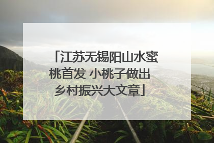 江苏无锡阳山水蜜桃首发 小桃子做出乡村振兴大文章