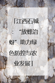江西石城：“放蜂治蚜”助力绿色防控与农业发展