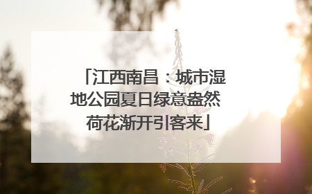 江西南昌：城市湿地公园夏日绿意盎然 荷花渐开引客来