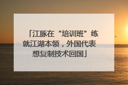 江豚在“培训班”练就江湖本领，外国代表想复制技术回国