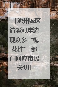 池州城区清溪河岸边现众多“梅花桩” 部门回应市民关切