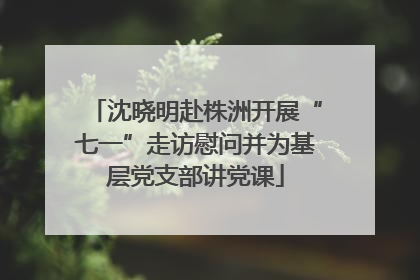 沈晓明赴株洲开展“七一”走访慰问并为基层党支部讲党课