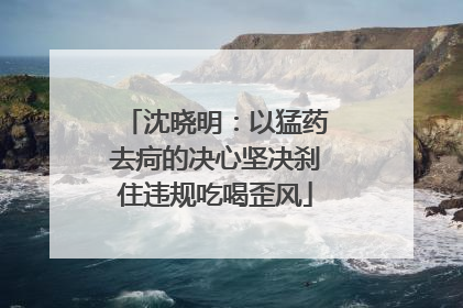 沈晓明：以猛药去疴的决心坚决刹住违规吃喝歪风