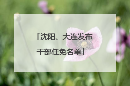 沈阳、大连发布干部任免名单