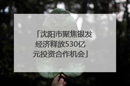 沈阳市聚焦银发经济释放530亿元投资合作机会