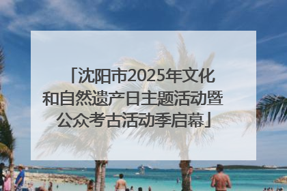 沈阳市2025年文化和自然遗产日主题活动暨公众考古活动季启幕