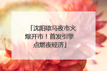 沈阳歇马夜市火爆开市！首发引擎点燃夜经济
