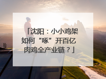 沈阳：小小鸡架如何“啄”开百亿肉鸡全产业链？