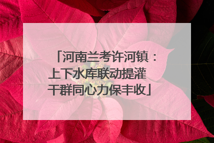 河南兰考许河镇：上下水库联动提灌 干群同心力保丰收