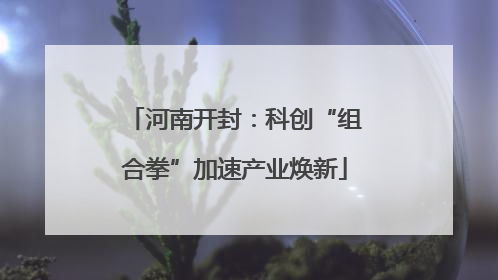 河南开封：科创“组合拳”加速产业焕新