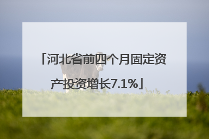 河北省前四个月固定资产投资增长7.1%