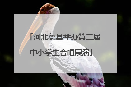 河北蠡县举办第三届中小学生合唱展演