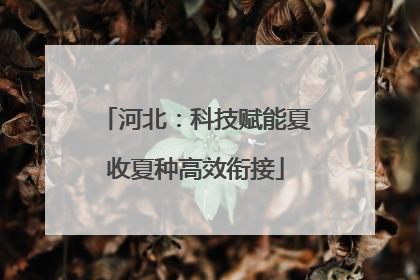 河北：科技赋能夏收夏种高效衔接