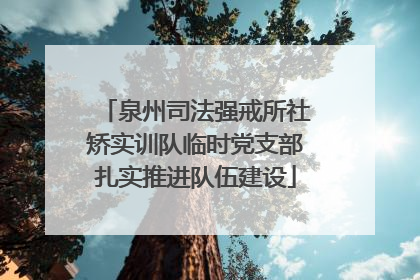 泉州司法强戒所社矫实训队临时党支部扎实推进队伍建设