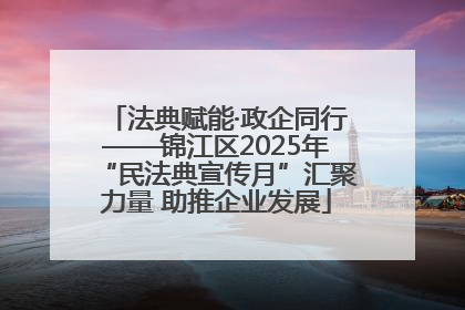 法典赋能·政企同行——锦江区2025年“民法典宣传月”汇聚力量 助推企业发展