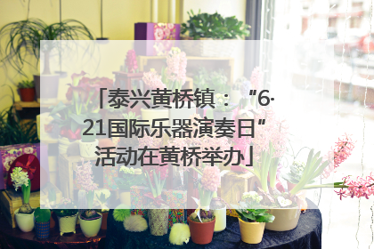 泰兴黄桥镇：“6·21国际乐器演奏日”活动在黄桥举办