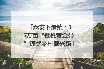 泰安下港镇：1.5万亩“樱桃黄金带”铺就乡村振兴路