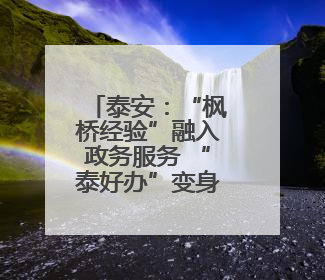 泰安：“枫桥经验”融入政务服务 “泰好办”变身贴心管家