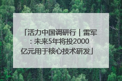 活力中国调研行｜雷军：未来5年将投2000亿元用于核心技术研发