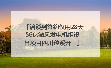 洽谈到签约仅用28天 56亿微风发电机组设备项目四川蓬溪开工