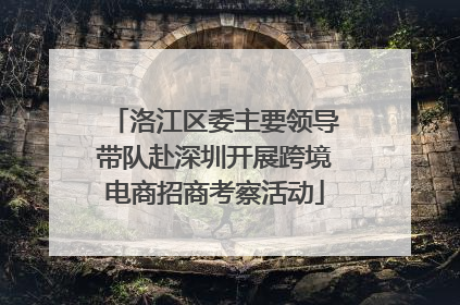 洛江区委主要领导带队赴深圳开展跨境电商招商考察活动