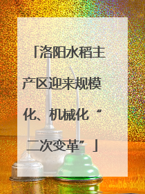 洛阳水稻主产区迎来规模化、机械化“二次变革”