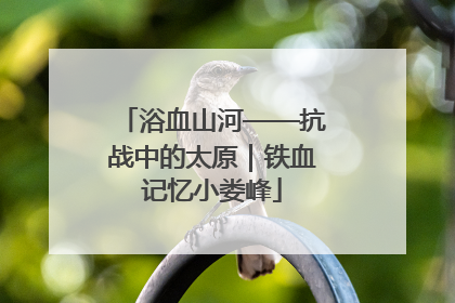 浴血山河——抗战中的太原｜铁血记忆小娄峰