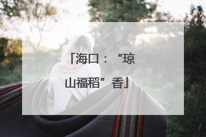 海口：“琼山福稻”香