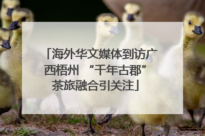 海外华文媒体到访广西梧州 “千年古郡”茶旅融合引关注