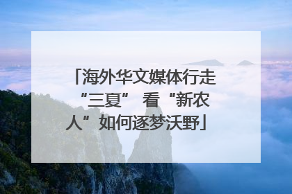 海外华文媒体行走“三夏” 看“新农人”如何逐梦沃野