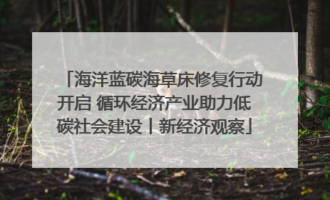 海洋蓝碳海草床修复行动开启 循环经济产业助力低碳社会建设丨新经济观察