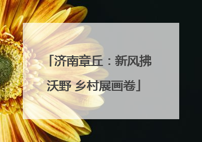 济南章丘：新风拂沃野 乡村展画卷