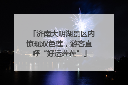 济南大明湖景区内惊现双色莲，游客直呼“好运莲莲”