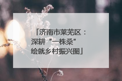 济南市莱芜区：深耕“一株桑” 绘就乡村振兴图