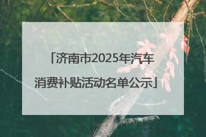济南市2025年汽车消费补贴活动名单公示