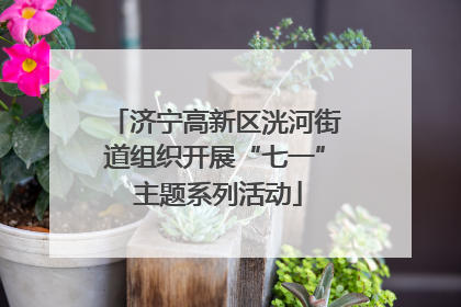 济宁高新区洸河街道组织开展“七一” 主题系列活动