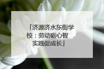 济源济水东街学校：劳动砺心智 实践促成长