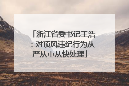 浙江省委书记王浩：对顶风违纪行为从严从重从快处理