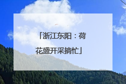 浙江东阳：荷花盛开采摘忙