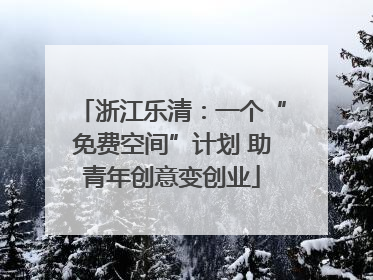 浙江乐清：一个“免费空间”计划 助青年创意变创业