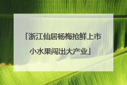 浙江仙居杨梅抢鲜上市 小水果闯出大产业
