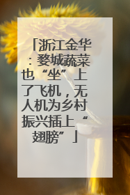 浙江金华：婺城蔬菜也“坐”上了飞机，无人机为乡村振兴插上“翅膀”