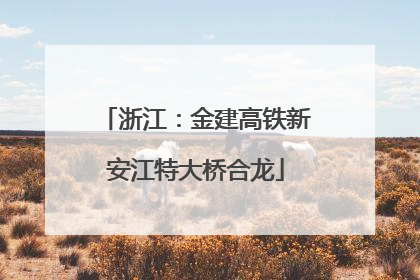 浙江：金建高铁新安江特大桥合龙