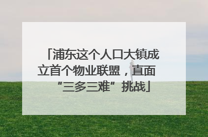 浦东这个人口大镇成立首个物业联盟，直面“三多三难”挑战