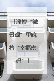 淄博“微景观”里藏着“幸福密码”