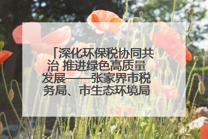 深化环保税协同共治 推进绿色高质量发展——张家界市税务局、市生态环境局签署合作备忘录