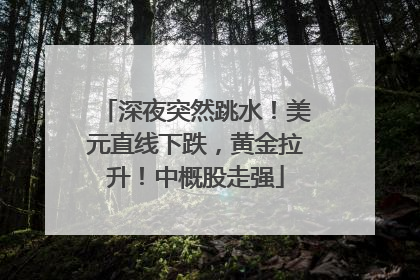 深夜突然跳水！美元直线下跌，黄金拉升！中概股走强